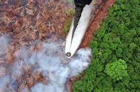 Ilustrasi Riau muncul belasan hotspot atau titik panas (foto/int)