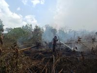 Pemadaman kebakaran hutan dan lahan. Foto Ist