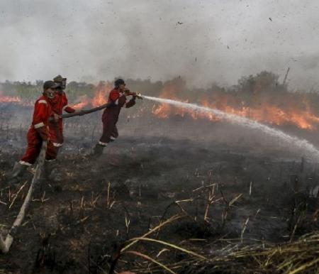 2 Perusahaan Bantah Disegel Kementerian LH karena Terlibat Karhutla di Riau