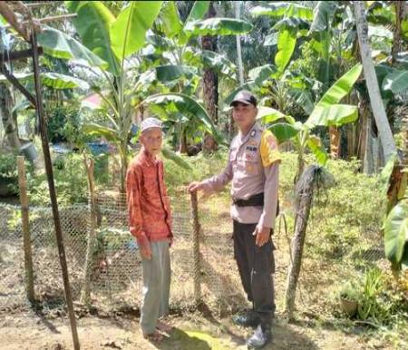 Bhabinkamtibmas Bukit Damar, Bripka Mariadi, melakukan pengecekan tanaman kacang panjang milik warga. (Foto: Afrizal)