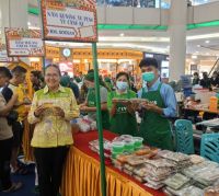 Vegan Carnaval di Mal Ciputra Seraya, Pekanbaru hadirkan edukasi kesehatan (foto/ist)