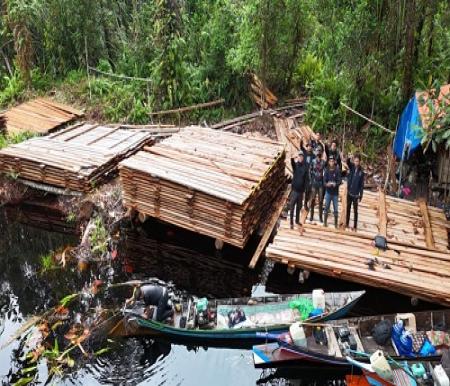 Illegal Logging di Inhu Rusak 120 Pohon, Suaka Margasatwa Kerumutan Terancam