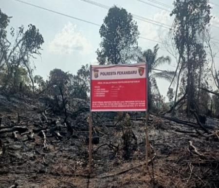 Petani sayur ditangkap setelah membakar lahan PT Pertamina Hulu Rokan (foto/int)