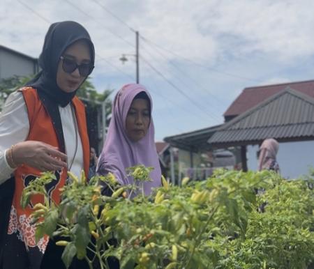 BRI Luncurkan BRInita di Pekanbaru, Ubah Pekarangan Jadi Sumber Pangan Mandiri