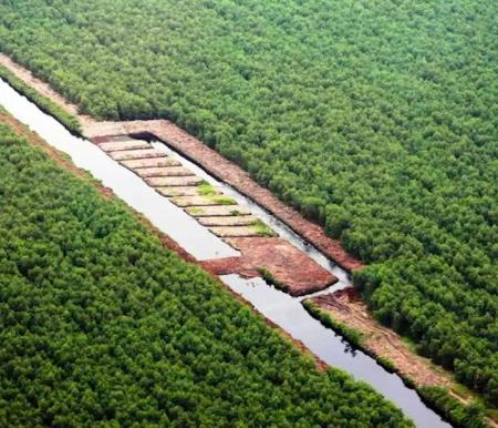 Sekat kanal dan water control yang digunakan RAPP di lahan gambut untuk mengontrol level air di semua areal dan sebagai pemisah antara water zone. Seluruh wilayah area kerja RAPP sudah menerapkan pengelolaan lahan gambut lestari. Foto Ist