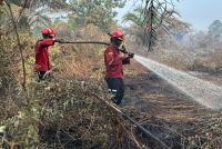 Ilustrasi Sumsel catat 1.560 hotspot, terbanyak se-Sumatra (foto/int)