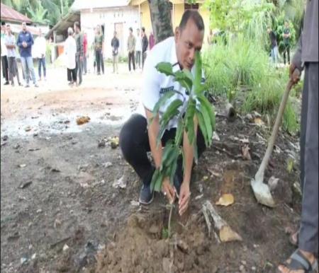 Ketua DPD LDII Rohil, Sarman menanam pohon dalam kegiatan pencanangan Proklim (foto/afrizal)