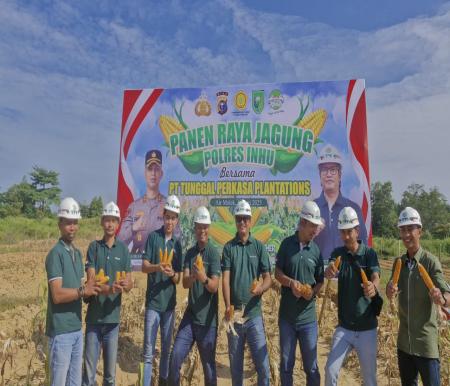 Grup Astra Agro di Inhu Panen Raya Jagung Wujud Dukung Program Ketahanan Pangan