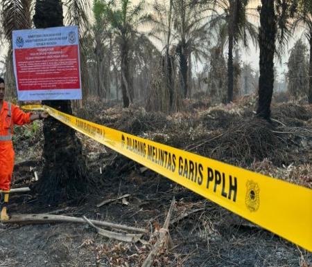 KLH Tindak Tegas Karhutla: Penyegelan Massal Perusahaan Sawit di Riau