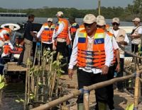 Peringatan Hari Mangrove Sedunia 2026 dipusatkan di Bali dengan mengambil tema Menjaga Mangrove, Mengamankan Generasi Mendatang, Minggu (26/7/2026).