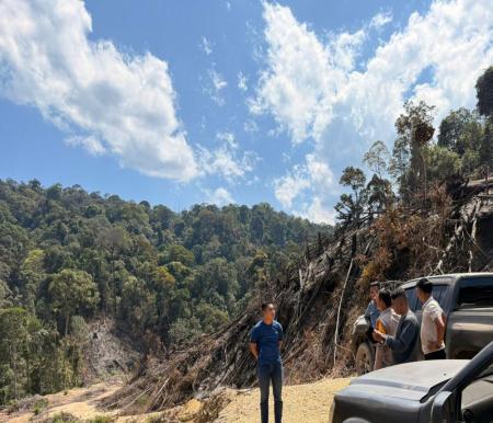 3 Pembakar Hutan di Rohul Ditangkap, Diduga untuk Perluasan Kebun Sawit