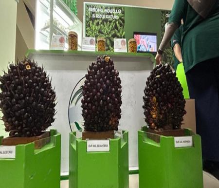 Astra Agro Perkuat Daya Saing Sawit Nasional Lewat Riset, Inovasi, dan Kolaborasi Global