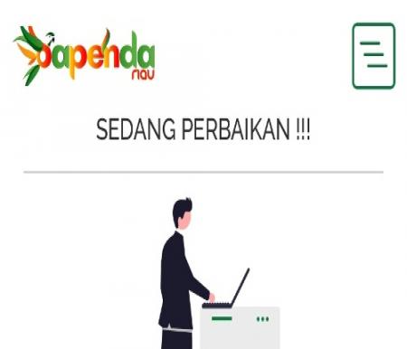 Tangkapan layar website resmi Bapenda Riau rusak.(foto: sri/halloriau.com)