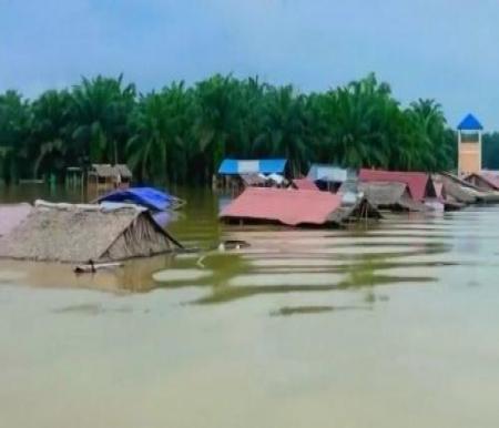 Pulau Cinta Kampar tenggelam.(foto: tribunpekanbaru.com)